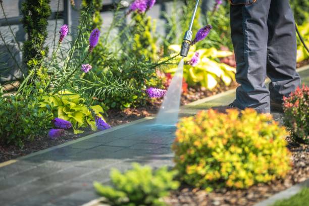 Best Pool Deck Cleaning  in New Mford, IL